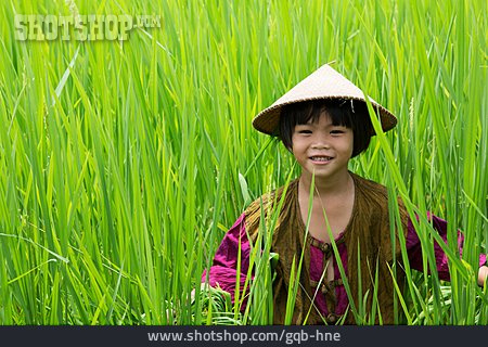 
                Mädchen, Reisfeld, Thailand                   
