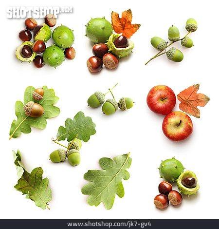 
                Herbstlich, Kastanie, Baumfrucht, Eichel                   