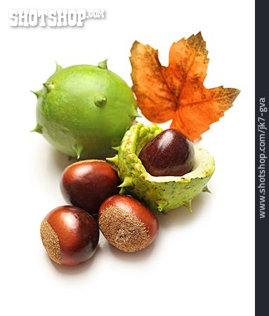 
                Herbstlich, Kastanie, Baumfrucht                   