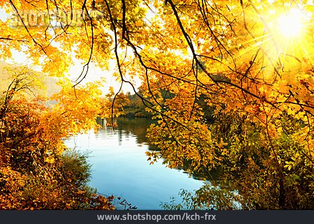 
                Baum, Sonnenstrahlen, Fluss, Herbstlaub                   
