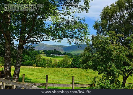 
                England, Lake District, Naddle Valley                   