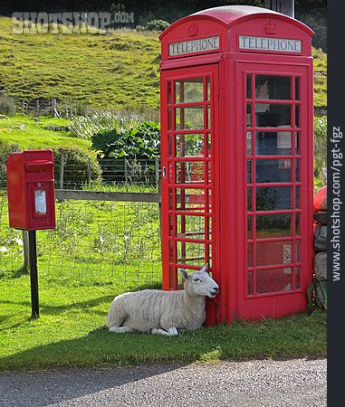 
                Großbritannien, Telefonzelle, Britisch                   