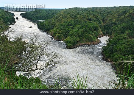 
                Nil, Murchison Falls                   