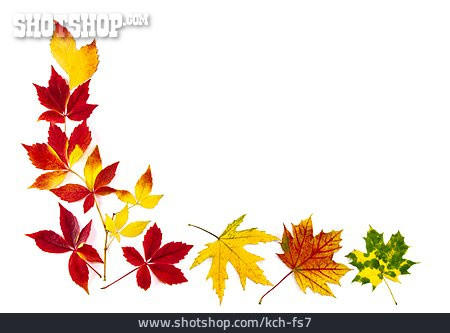 
                Textfreiraum, Blätter, Laub, Herbstlaub                   