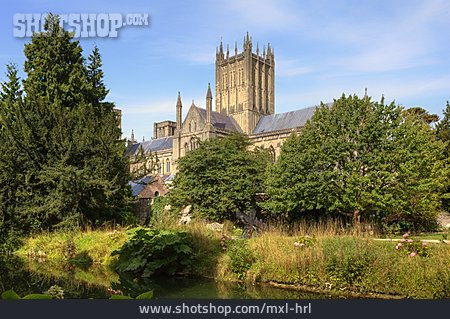 
                England, Kathedrale, Somerset                   