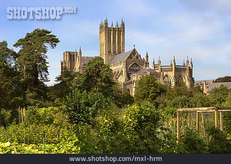 
                England, Kathedrale, Somerset                   