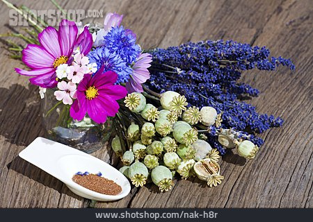 
                Blumen, Mohn, Stillleben, Lavendel                   