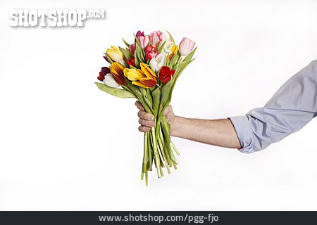 
                Blumenstrauß, Tulpenstrauß, überreichen                   