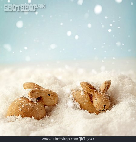 
                Winter, Rabbit                   
