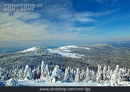 
                Winterlandschaft, Bayerischer Wald                   