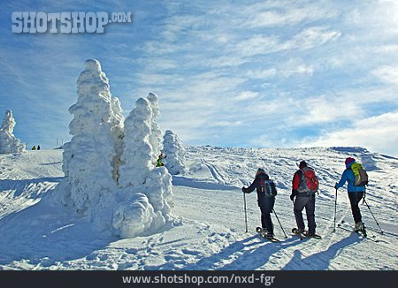 
                Wintersport, Skifahrer, Skitourengehen, Skiwandern                   