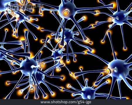 
                Vernetzung, Neuron, Nervenzelle, Synapse                   