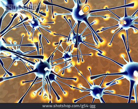 
                Neuron, Nervenzelle, Synapse                   