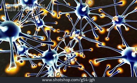 
                Vernetzung, Neuron, Nervenzelle, Synapse                   