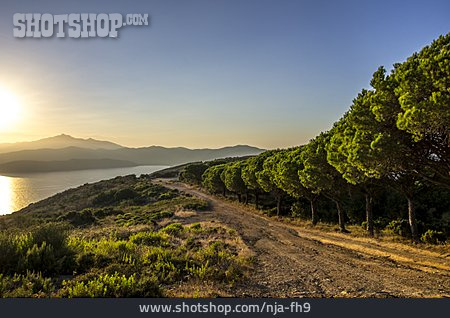 
                Sonnenaufgang, Morgendämmerung, Elba                   