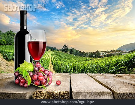 
                Wein, Weinbau, Weinbaugebiet                   