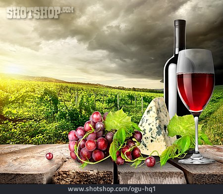 
                Wein, Weinbau, Weinbaugebiet                   