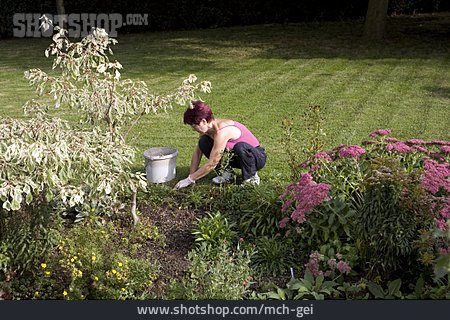 
                Gartenarbeit, Jäten, Anpflanzen                   