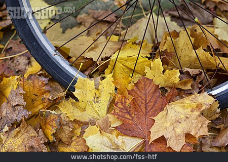 
                Herbst, Fahrradreifen, Rutschgefahr                   