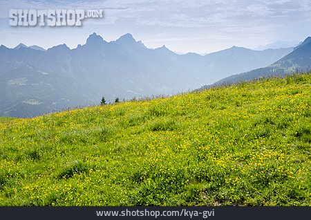 
                Alpen, Tirol, Tannheimer Tal                   