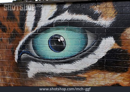 
                Auge, Graffiti, Streetart                   
