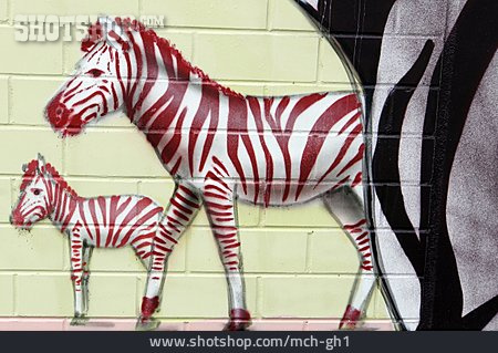 
                Graffiti, Wandmalerei, Zebra                   