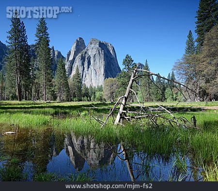 
                Yosemite                   