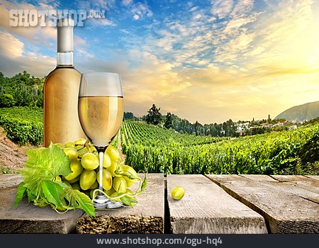 
                Wein, Weinbau, Weißwein, Weinbaugebiet                   