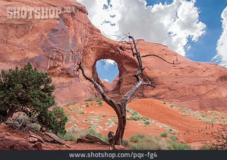 
                Felsformation, Grand Canyon, Navajo-nation-reservation                   