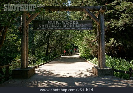 
                Mammutbaum, National Monument, Muir Woods National Monument                   