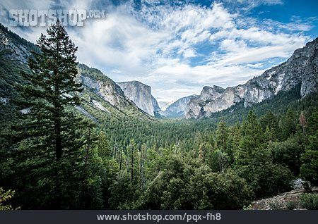 
                Landschaft, Yosemite, Yosemite Valley                   