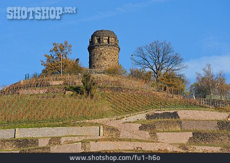 
                Weinberg, Bismarckturm                   