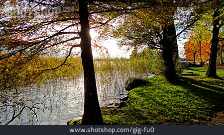 
                Herbstlich, Seeufer, Zürichsee                   