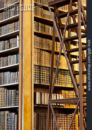 
                Bücherregal, Bibliothek, Antiquariat                   