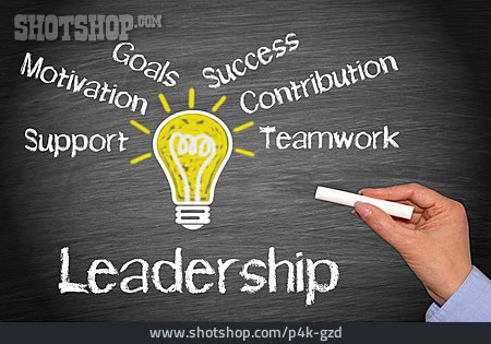 
                Management, Führungskraft                   