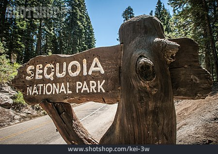 
                Nationalpark, Sequoia-nationalpark                   