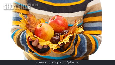 
                Obst, Herbstlaub, Herbstdekoration                   