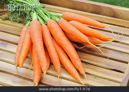 
                Karotte, Karottenbund                   