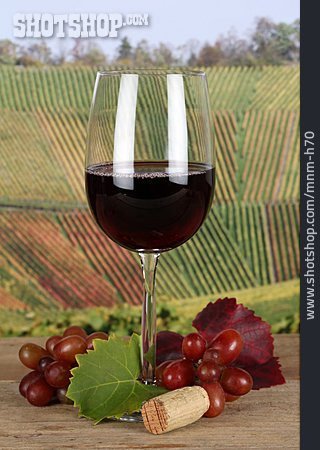 
                Weinglas, Rotwein, Weinanbau                   
