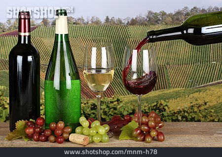 
                Wein, Weinprobe, Weinsorte                   