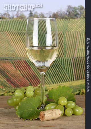 
                Weinglas, Weinanbau, Weißwein                   