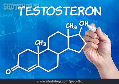 
                Strukturformel, Testosteron                   