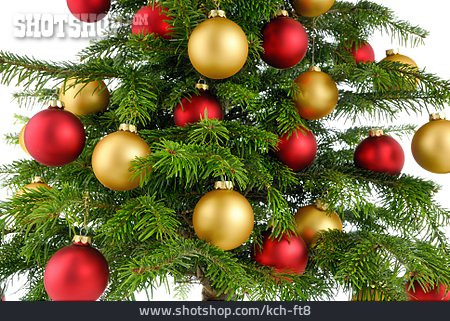 
                Christmas, Christmas Tree                   