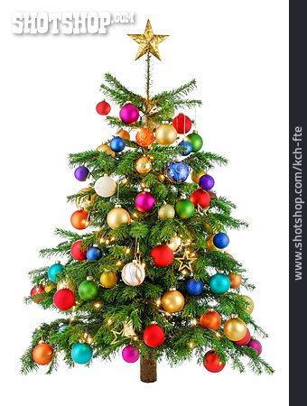 
                Weihnachten, Weihnachtsbaum                   