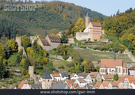 
                Hirschhorn, Burg Hirschhorn                   