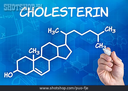 
                Cholesterin, Strukturformel                   