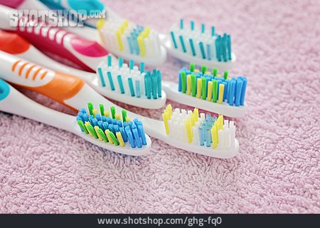 
                Zahnbürste, Zahnpflege                   