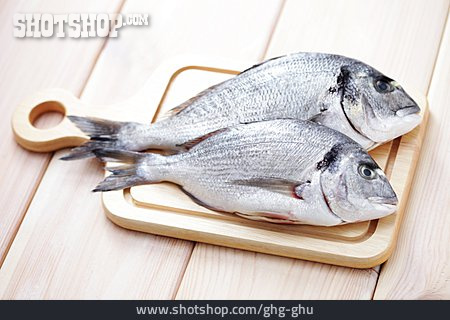 
                Fisch, Speisefisch, Dorade                   