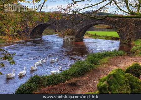 
                Brücke, Bogenbrücke, Dartmoor, Two Bridges                   