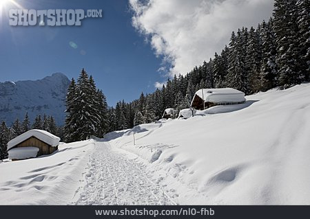 
                Winter, Berner Oberland                   